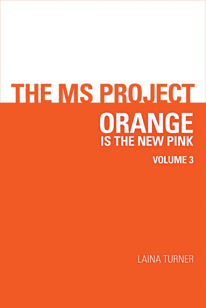 The MS Project3 book cover LARGE The MS Project - Volume 3