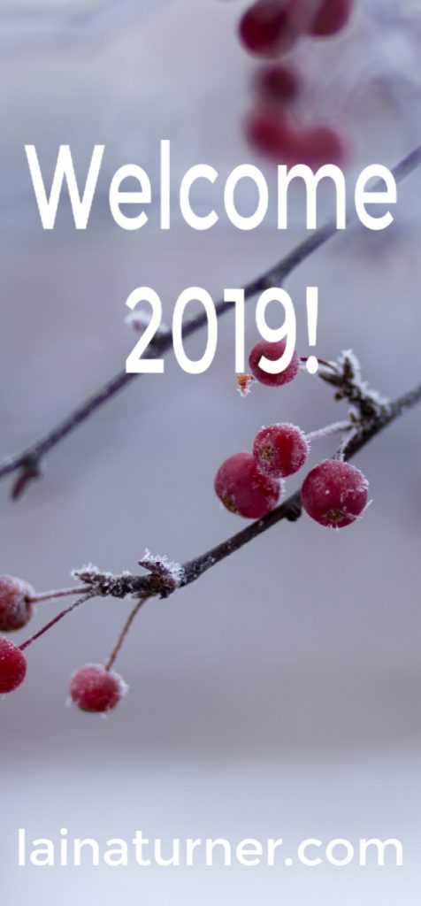 welcome pin Welcome 2019!