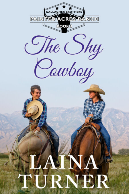 clean small town cowboy romance series