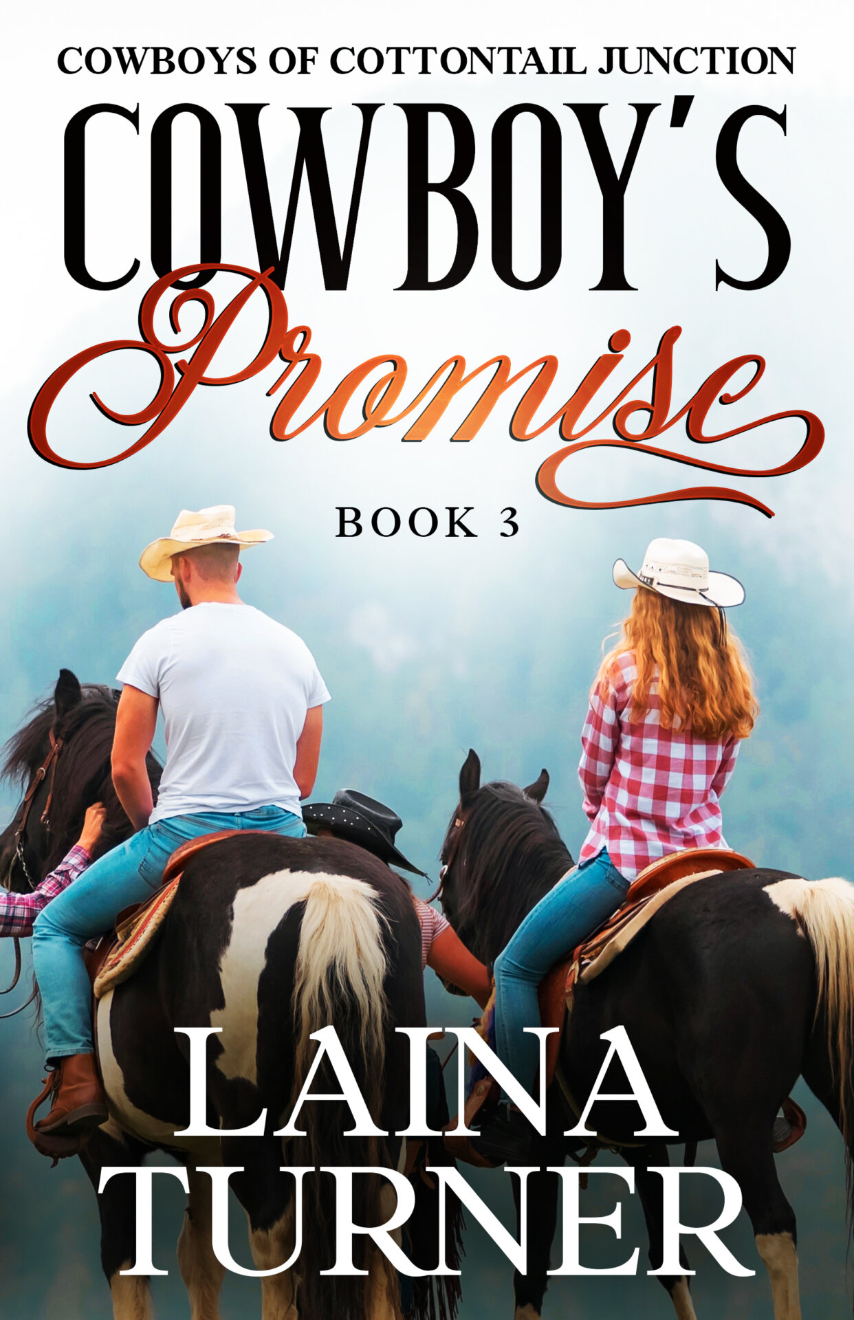 Cowboy's Promise Cowboys of Cottontail Junction Clean Small Town Romance Book 3 1 clean small town romance