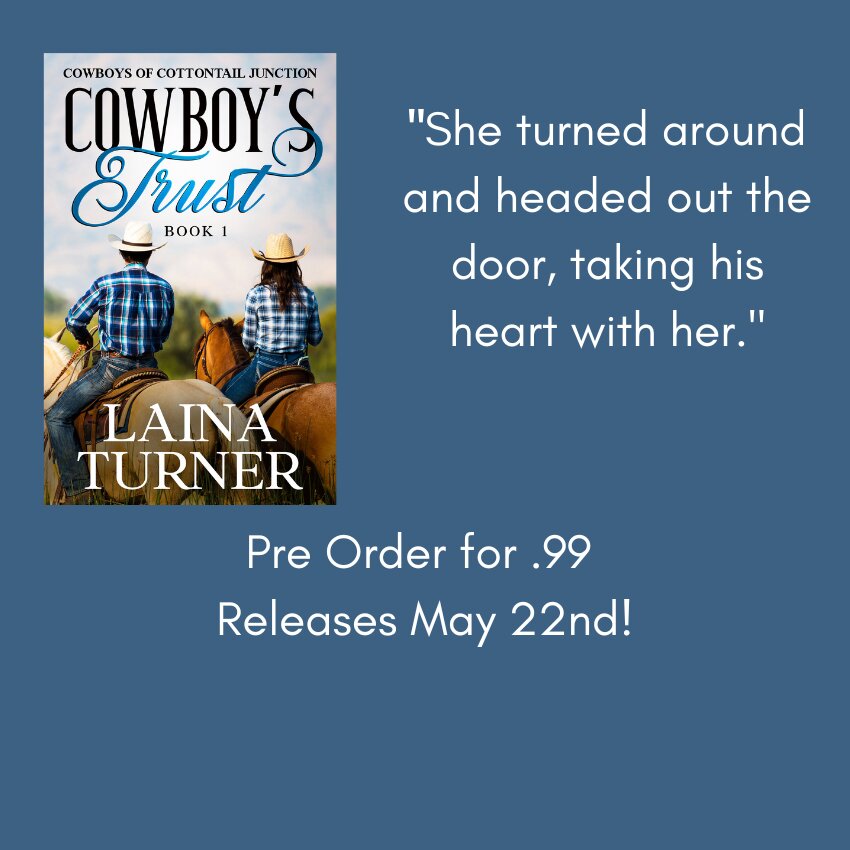 clean small town romance book
